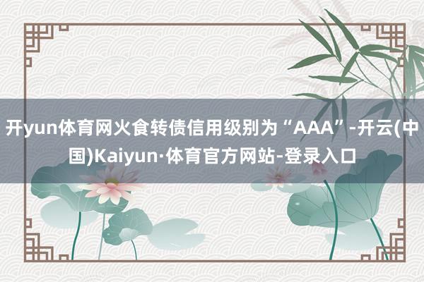开yun体育网火食转债信用级别为“AAA”-开云(中国)Kaiyun·体育官方网站-登录入口